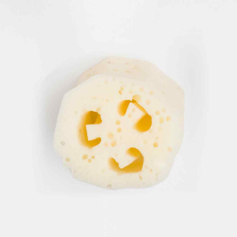 Sponge